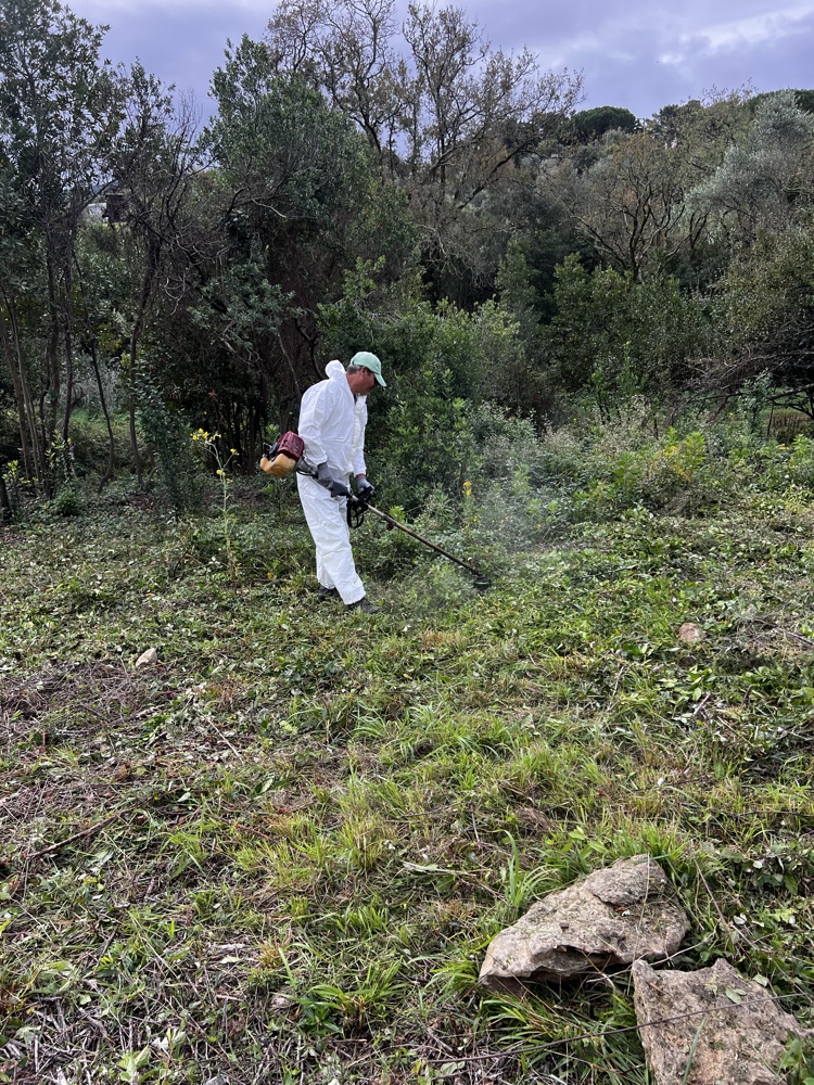 Conto alla Rovescia: Il "Trio Tagliaerba" Completa il Reset Pre-Evento